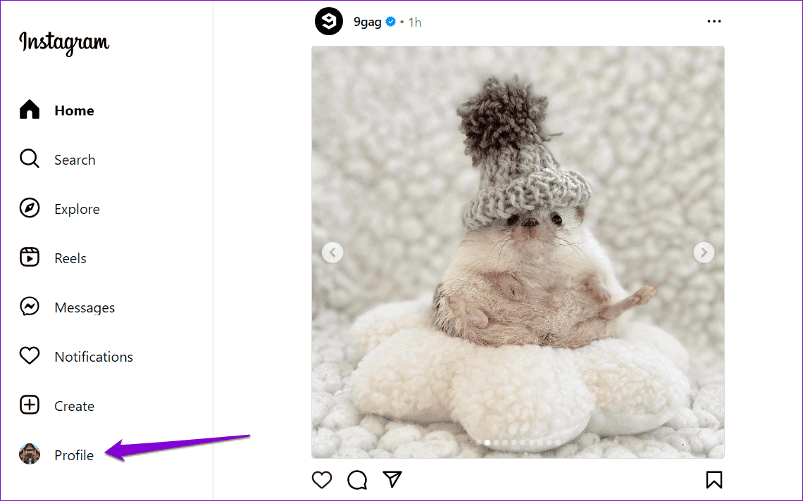 Instagram-Profile-on-Web كيفية رؤية المتابعين الجدد على Instagram