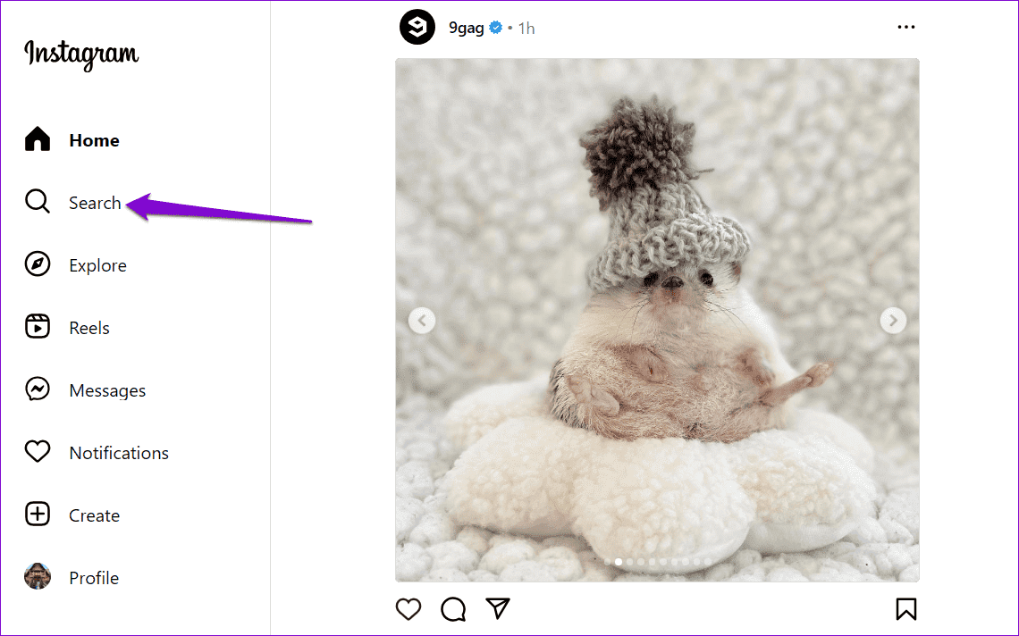 Instagram-Search-on-Web كيفية رؤية المتابعين الجدد على Instagram