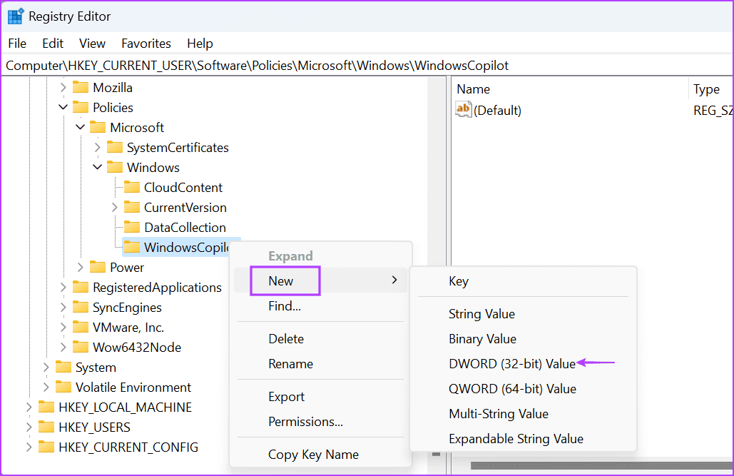Manually-Enable-Copilot-2 أفضل 7 طرق لإصلاح مشكلة فقدان Copilot في Windows 11