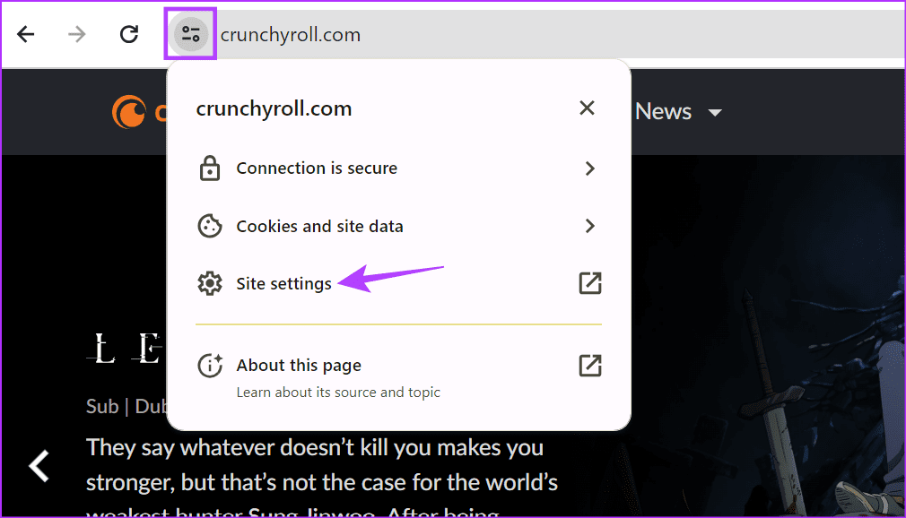 Open-Site-settings-Chrome 8 طرق لإصلاح مشكلة ظهور الشاشة السوداء في Crunchyroll