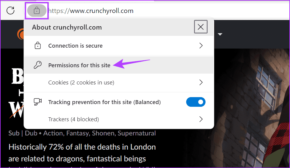 Open-site-permissions-Edge 8 طرق لإصلاح مشكلة ظهور الشاشة السوداء في Crunchyroll