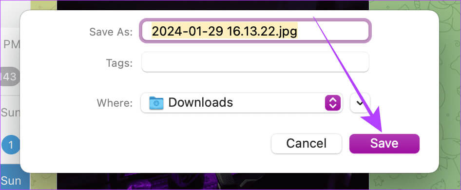 Save-Window كيفية العثور على الملفات التي تم تنزيلها في Telegram على أجهزة Android وiPhone وMac