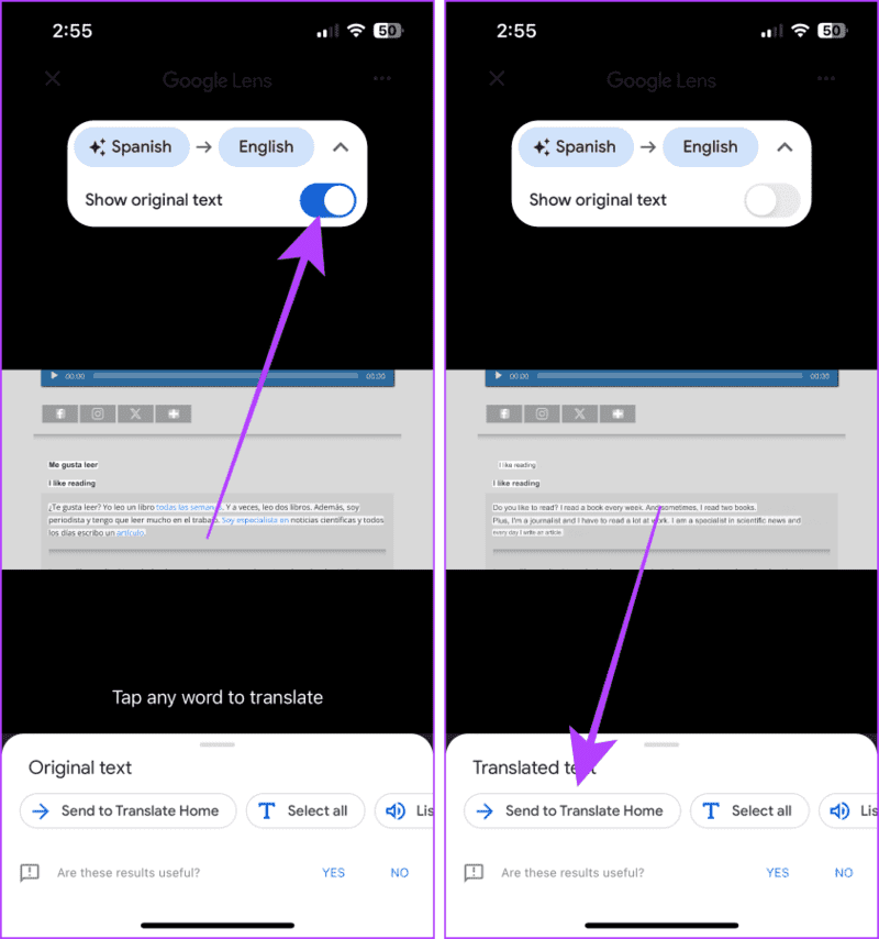 Toggle-Between-Languages كيفية استخدام تطبيق Google Translate على iPhone