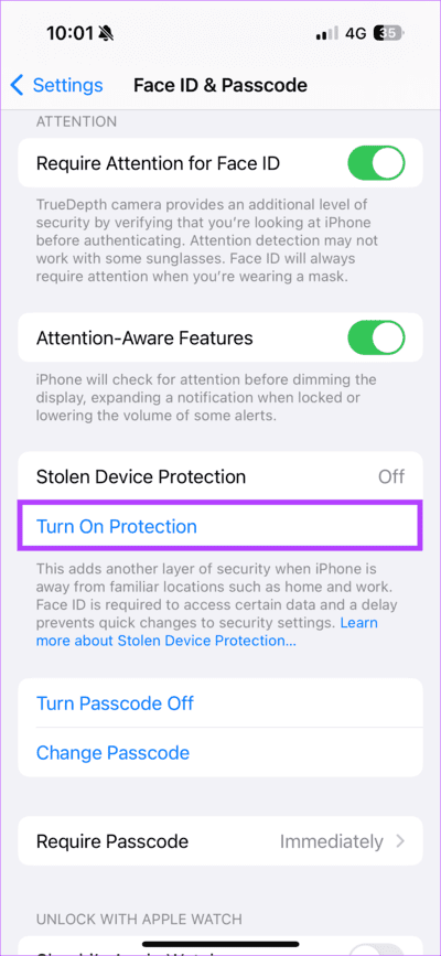 Turn-On-Protection كيفية تمكين واستخدام حماية الجهاز المسروق على iPhone