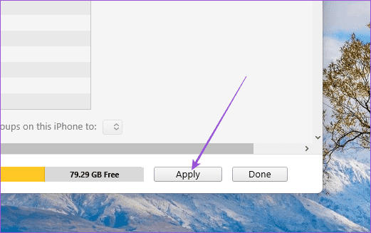 apply-settings-itunes-windows-2 4 أفضل الطرق لطباعة جهات الاتصال من iPhone