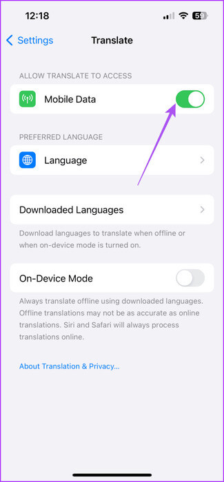 enable-mobile-data-use-translate-app-iphone-475x1024-1 أفضل 7 إصلاحات لعدم عمل تطبيق Apple Translate على iPhone