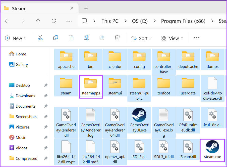 reset-steam-2-1 أفضل 8 إصلاحات لخطأ "أحد مكونات Steam المهمة لا تستجيب" في Windows 11