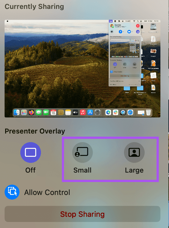 select-presenter-overlay-size-mac-facetime كيفية استخدام Presenter Overlay على Mac