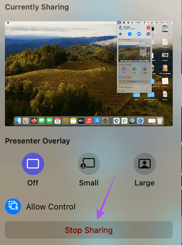stop-sharing-presenter-overlay-facetime-mac كيفية استخدام Presenter Overlay على Mac