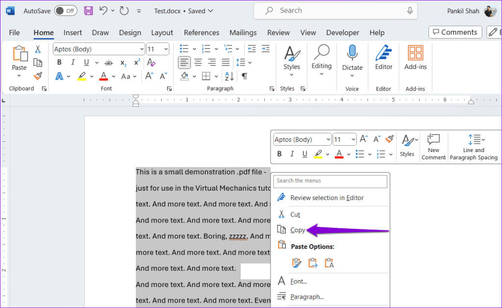 Copy-Text-in-Word-1024x630-1 كيفية حفظ مستند Word كصورة