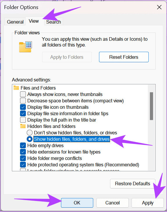 Enable-show-hidden-folders-in-File-Manager 6 طرق لإصلاح خطأ تلف سلة المحذوفات على Windows 11