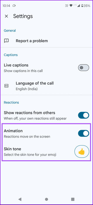 change-skin-tone-and-animation-emoji-companion-mode-463x1024-1 كيفية استخدام Companion Mode في Google Meet