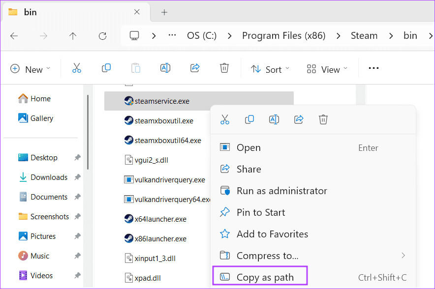 copy-steam-serrvice-path أفضل 7 إصلاحات لـ "الشاشة السوداء لقائمة أصدقاء Steam" في Windows 11