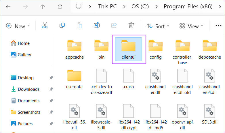 delete-the-client-ui-folder أفضل 7 إصلاحات لـ "الشاشة السوداء لقائمة أصدقاء Steam" في Windows 11