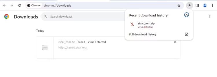 كيفية تجاوز Message"فشل - تم اكتشاف فيروس" في Chrome عند تنزيل الملفات - %categories