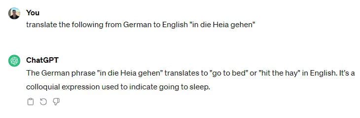 heia-gehen-1 هل ترجمة ChatGPT أفضل من ترجمة Google؟