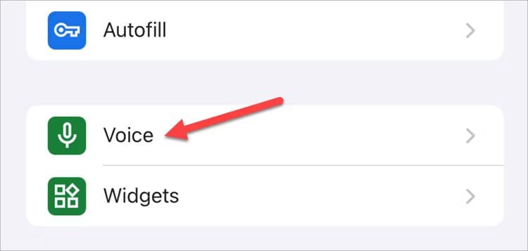img_0400 كيفية الوصول إلى Google Gemini AI على iPhone