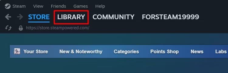 library-option-in-the-steam-client كيفية إصلاح خطأ Steam Cloud Sync للحفاظ على ألعابك المحفوظة آمنة