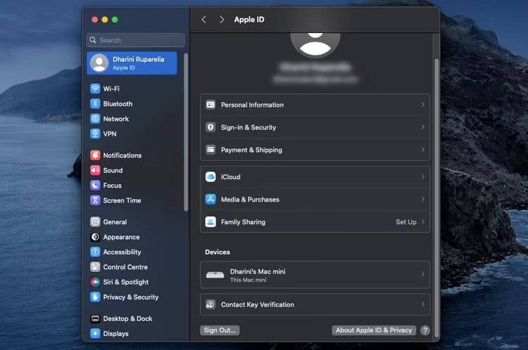 mac-devices كيفية معرفة من يستخدم Netflix وSpotify والمزيد