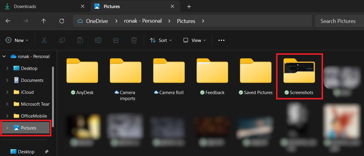 Click-on-Pictures-from-the-left-menu.-Select-Screenshots-e1713682338490 أين تذهب القصاصات على Windows 10