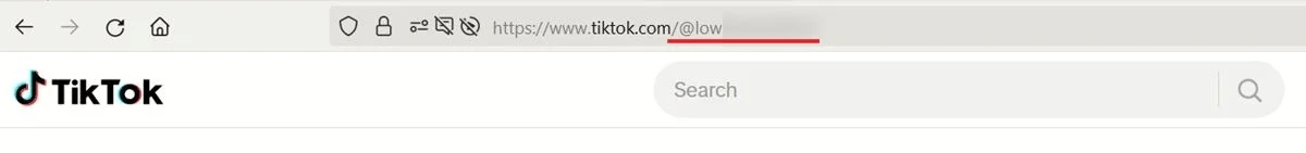 change-username-tiktok-pc-url-view خطوات بسيطة لتغيير اسم المستخدم واسم العرض على TikTok