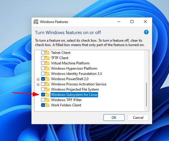 flameshot-wsl-check-box كيف (ولماذا) تشغل تطبيقات Ubuntu على Windows 11