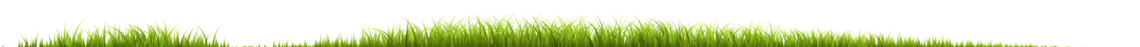 long_grass كيفية استعادة ملكية صفحة فيسبوك غير رسمية بخطوات سهلة