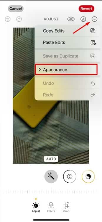 appearance-option-in-the-photos-app اكتشف الميزات المخفية في iOS 18 التي ستغير تجربتك