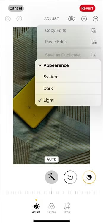 dark-and-light-theme-option-in-the-photos-app اكتشف الميزات المخفية في iOS 18 التي ستغير تجربتك