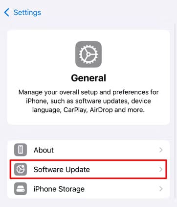 software-update-option-in-iphone-settings-on-ios-18 أسباب عدم شحن هاتف iPhone وكيفية حل المشكلة