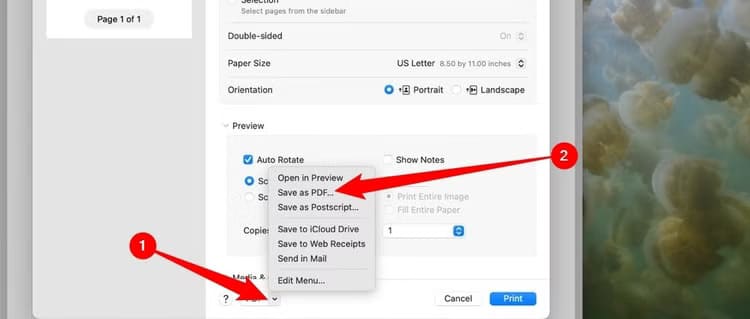 click-pdf-button-click-save-as-pdf-1 طريقة بسيطة لإزالة كلمة المرور من ملفات PDF