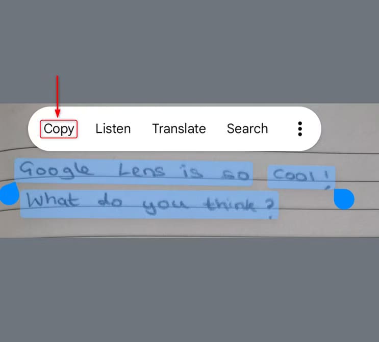 lenss أفكار ممتعة ومفيدة لاستخدام Google Lens في حياتك اليومية