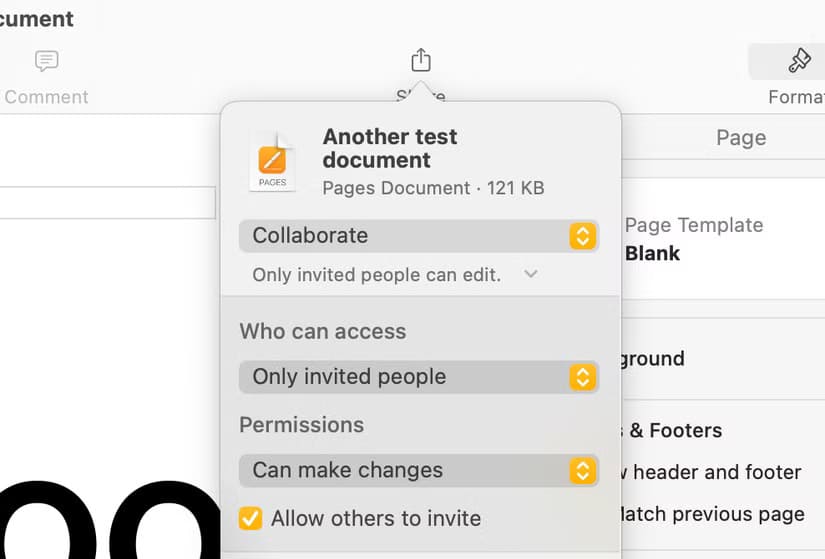 screenshot-2024-10-22-at-16-18-48 طرق سهلة لمشاركة مستندات Pages مع مستخدمي أجهزة غير Apple