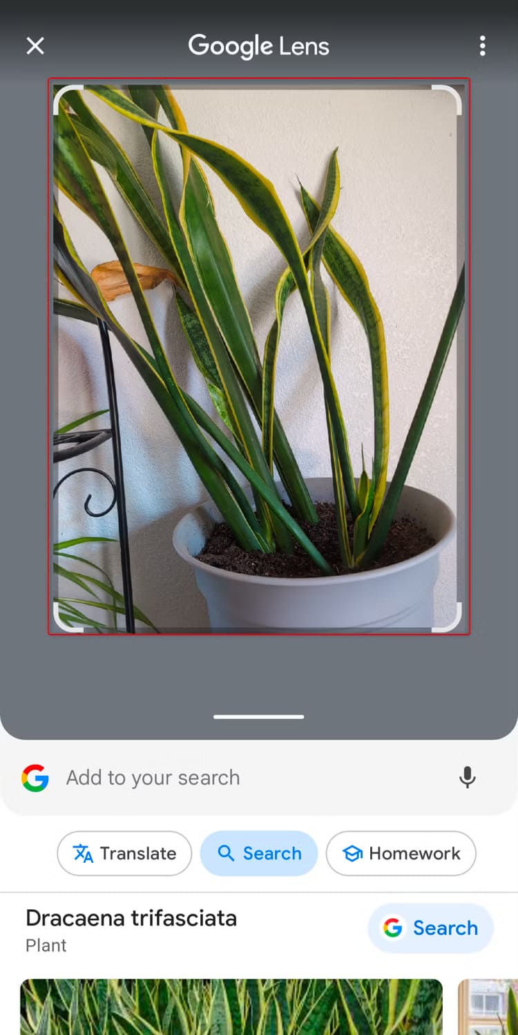 screenshot_20241017-124048 أفكار ممتعة ومفيدة لاستخدام Google Lens في حياتك اليومية