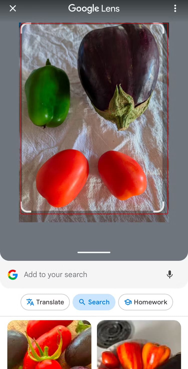 screenshot_20241017-124558 أفكار ممتعة ومفيدة لاستخدام Google Lens في حياتك اليومية