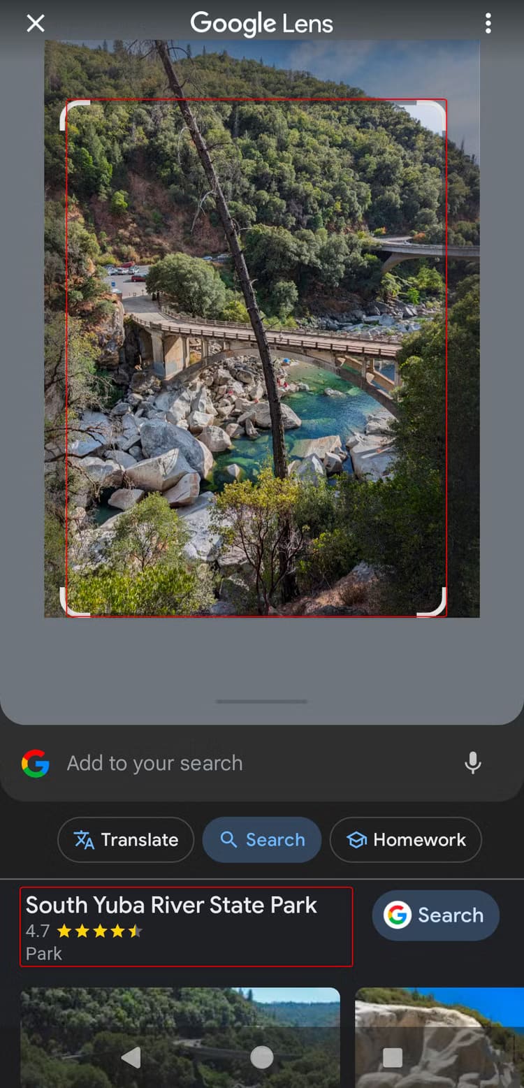 screenshot_20241018-131403 أفكار ممتعة ومفيدة لاستخدام Google Lens في حياتك اليومية