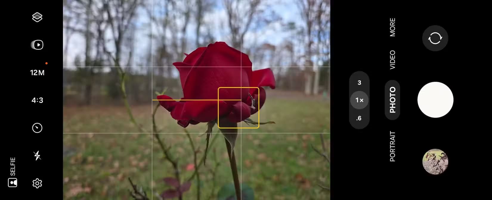1000054741 التقاط صور بخلفيات ضبابية مميزة (تأثير بوكيه) باستخدام كاميرا Android