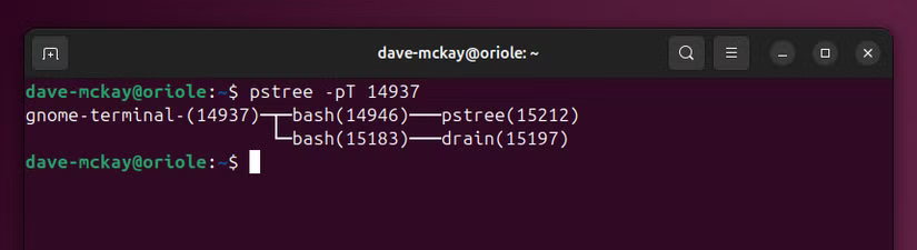 9 إدارة عمليات Linux بسهولة باستخدام ps وkill وpkill