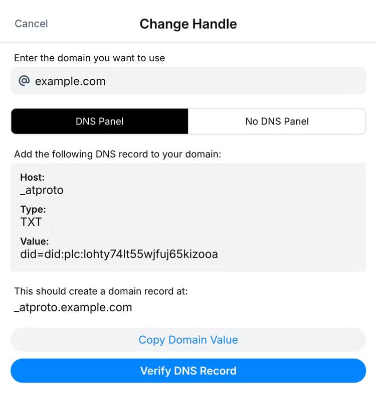bluesky-domain-dns طريقة ربط حساب Bluesky بنطاقك الخاص بخطوات بسيطة