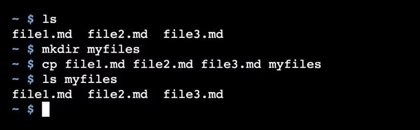 linux-fs-cp أوامر لينكس الأساسية لإدارة الملفات بسهولة