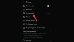 online-status-visibility-step-2 ميزات غير معروفة في تطبيق Threads تعزز تجربتك على Instagram