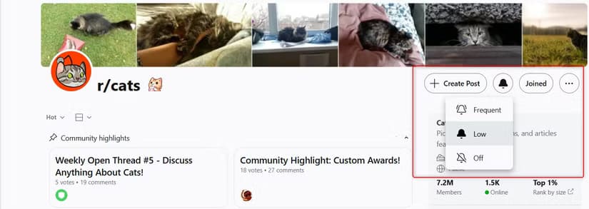 redditbellicon طرق فعّالة لاستخدام Reddit للحصول على أحدث الأخبار والمستجدات