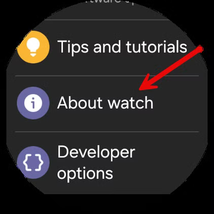 screenshot_20241126_153539_settings طريقة استخدام واجهات Pixel Watch على ساعات Samsung Galaxy