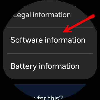 screenshot_20241126_153545_settings طريقة استخدام واجهات Pixel Watch على ساعات Samsung Galaxy