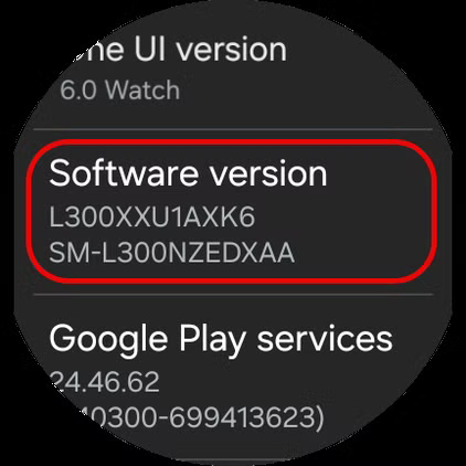 screenshot_20241126_153548_settings طريقة استخدام واجهات Pixel Watch على ساعات Samsung Galaxy