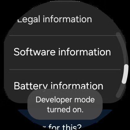screenshot_20241126_153556_settings طريقة استخدام واجهات Pixel Watch على ساعات Samsung Galaxy