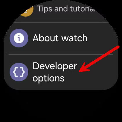 screenshot_20241126_153636_settings طريقة استخدام واجهات Pixel Watch على ساعات Samsung Galaxy
