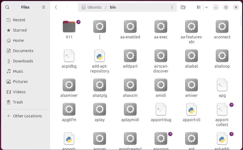 the-bin-directory-in-a-file-browser-on-ubuntu-linux فهم هيكل الدليل في لينكس: دليل مبسط للمبتدئين