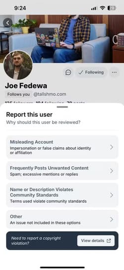 report-window-of-bluesky خطوات الإبلاغ عن الحسابات المخالفة على Instagram وFacebook
