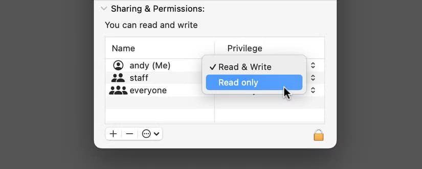 set-file-access-permissions-in-the-get-info-window أفضل الطرق لإخفاء وتأمين ملفاتك على جهاز Mac